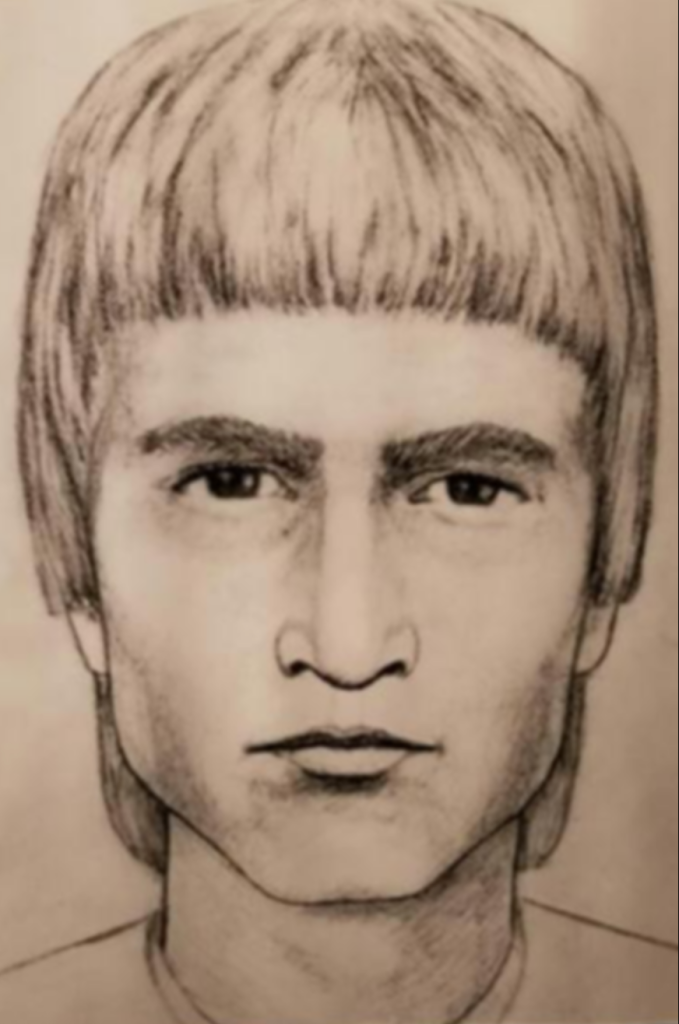 A police sketch of the suspect in Violi's disappearance.